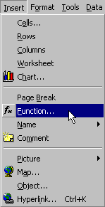 Insert function menu choice