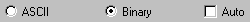 ascii.gif (385 bytes)