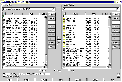 wsftp_onDancer.gif (18306 bytes)