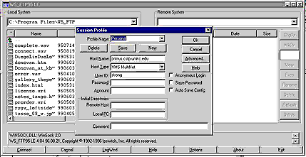 wsftp_profile.gif (12602 bytes)