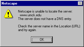dns.gif (2322 bytes)